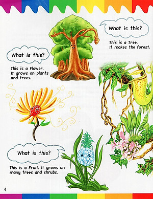 Sách My First Questions & Answers - Rainforest