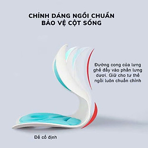 Ghế Công Thái Học Chỉnh Dáng Ngồi - Ghế Tựa Lưng Chống Cong Vẹo Cột Sống Cho Nam, Nữ, Trẻ Em - HÀNG CHÍNH HÃNG MINIIN