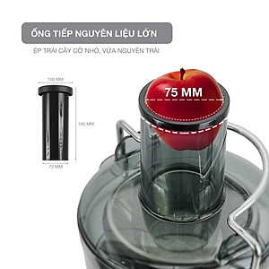 Máy ép trái cây rau củ LEBENLANG công suất cực mạnh 800W, dung tích lớn 1100ml, model LBEJ3468 - hàng chính hãng