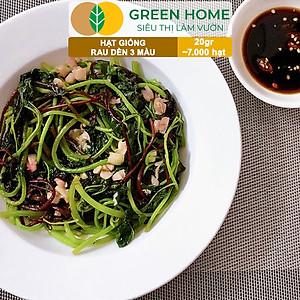 Hạt Giống Rau Dền 3 Màu Greenhome, Gói 20g~7000 hạt, Dễ Trồng Quanh Năm, Nảy Mầm Cao, Thu Hoạch Nhanh, Năng Suất Cao R15