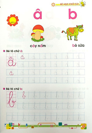 Sách Bé Học Chữ Cái - Dành Cho Học Sinh Mẫu Giáo (Tái Bản)