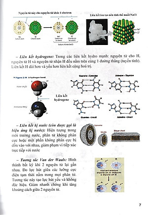 Bồi dưỡng học sinh giỏi Sinh học 12 (Tái bản 2024)(Dùng chung các bộ SGK)