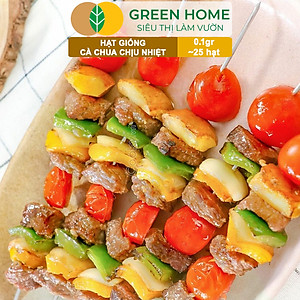 Hạt Giống Cà Chua Greenhome, Gói 0.1gr~25 hạt, Chịu Nhiệt, Trồng Chậu, Ra Nhiều Quả, Cây Sinh Trưởng Nhanh T15