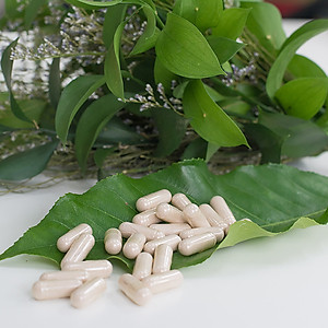 Thực phẩm bảo vệ sức khỏe Khớp khỏe mạnh Teresa Herbs Healthy Joint (lọ 90 viên)