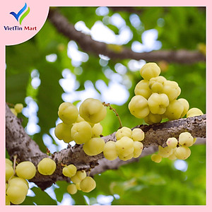 Chùm Ruột Sấy Chanh Muối Viettin Mart 500GR