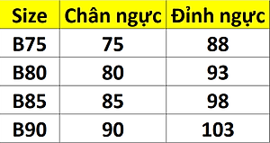 Áo ngực mỏng thêu hoa cài trước có gọng