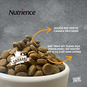 Thức Ăn Cho Chó Có Kích Thước Trung Bình, Lớn Nutrience lnfusion Bao 10kg - Thịt Gà Tây, Rau Củ & Trái Cây Tự Nhiên