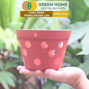 Chậu Trồng Lan Greenhome, R15xC10cm, Nhựa Màu Gốm, Bền, Đẹp, Chống Rơi Vỡ, Thoáng Rễ, Giá Thành Tốt