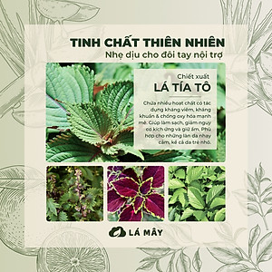 NƯỚC LAU ĐA NĂNG TÍA TÔ & CAM XANH LÁ MÂY 500mL