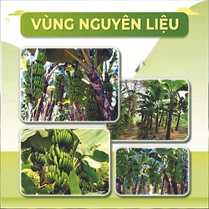Bột Chuối Xanh Ftaky OCOP 3 Sao, Sấy Lạnh, Giàu Tinh Bột Kháng hộp 500g 
