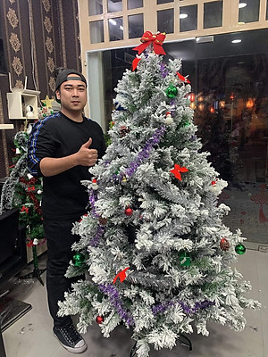 Cây thông noel phủ tuyết cao 1m8 - Cây loại 3 lá dày tán rộng