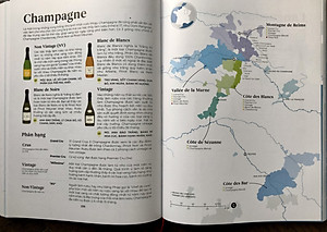 Wine Folly (toàn tập)