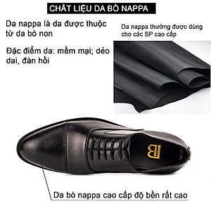 Giày da nam, giày oxford công sở Bụi Leather G106 - Da bò Nappa cao cấp - Bảo hành 12 tháng