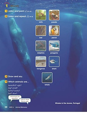 Look 3 Student Book (British English)