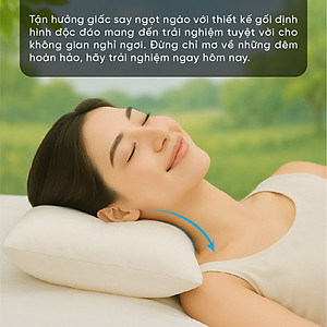 Ruột gối định hình  thư giãn cổ, massage cổ, chống ngáy 45x65 cm