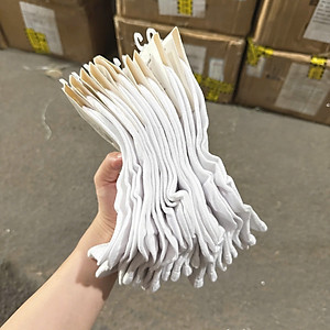 Tất vớ Trơn BASIC Trắng Cổ Ngắn Cotton Thể Thao Co Dãn Bốn Chiều Phong Cách Hàn Quốc