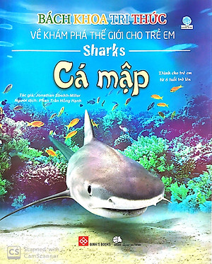 Sách Bách Khoa Tri Thức Về Khám Phá Thế Giới Cho Trẻ Em - Cá Mập (Tái Bản 2018)