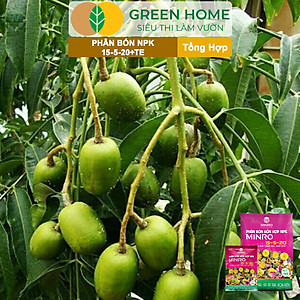 Phân NPK 15-5-20 Greenhome, Minro, Bao 1Kg, Kích Ra Hoa, Tăng Đậu Trái Trên Kiểng, Cây Ăn Trái, Củ