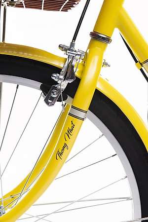 Xe đạp Thống nhất nữ LD 24-02 - Hàng chính hãng