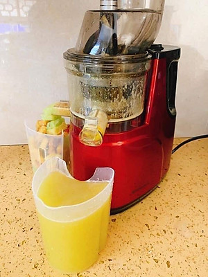 Máy ép chậm trái cây nguyên quả Hàng chính hãng