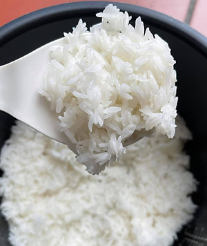 Đặc sản Sóc Trăng - Gạo Thơm ST25 Túi 5Kg - Đạt Giải Gạo Ngon Nhất Thế Giới Năm 2019 tại Manila - OCOP 4 Sao