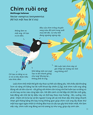 100++ Bí Ẩn Về Tự Nhiên - Những Động Vật Kỳ Diệu Nực Cười Nhất