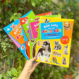 Sách Dán hình nhận biết động vật - Chim và côn trùng