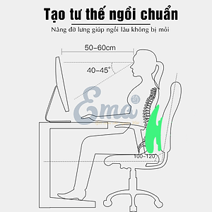 Tựa lưng công thái học EMA cho ghế văn phòng, ô tô - Chuẩn công thái học, thoái mái & thoáng mát