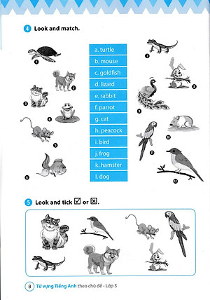 Sách Từ Vựng Tiếng Anh Theo Chủ Đề Lớp 3