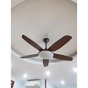 Quạt trần có đèn trang trí và quạt mát F26 hàng chính hãng