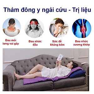 Thảm ngải cứu đông y Trung Hoa 60*150cm sưởi ấm, hỗ trợ điều trị đau mỏi vai gáy xương khớp, Đệm sưởi điện ngải cứu đông y - Hàng chính hãng
