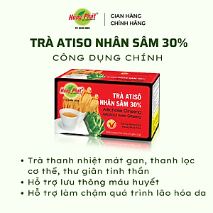 Trà Atisô Nhân Sâm Hộp 25 Gói - Thương hiệu Hùng Phát