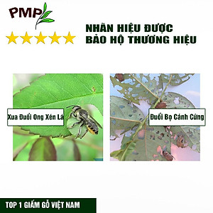 Giấm Gỗ Sinh Học APY PMP Kháng Đốm Lá, Đốm Đen, Vàng Lá, Phấn Trắng Cho Hoa Hồng, Rau Sạch, Lan, Cây Cảnh Chai 500ml