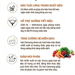 [2KG ]  - Thức ăn cho mèo mọi lứa tuổi nhập khẩu Hàn Quốc CATSRANG HỘP