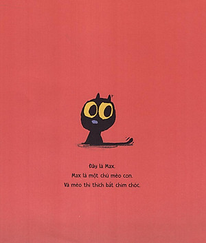 Sách Mèo Max Và Chim