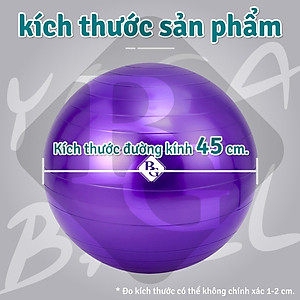 [65cm] KHÔNG KÈM BƠM Bóng tập Yoga Bóng Yoga Tròn Cỡ Đại 65cm Cao Cấp BG (hàng nhập khẩu)