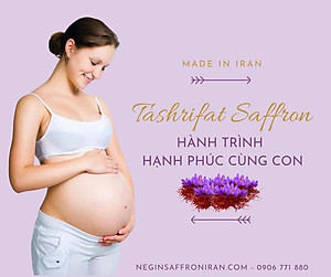 Nhụy hoa nghệ tây Tashrifat Saffron Premium loại Negin sợi to (1 Grams)