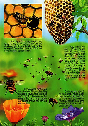 Sách Thế Giới Động Vật Kì Thú - Vườn Côn Trùng