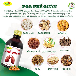Siro Phế Quản PQA Thành Phần Từ Thiên Nhiên Giúp Bổ Phế, Ho Hộp 250ml