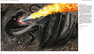 Sách Fantastic Beasts: The Wonder of Nature (Amazing Animals and the Magical Creatures of Harry Potter and Fantastic Beasts) (Paperback)