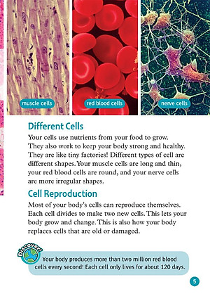 Oxford Read and Discover 6 Your Amazing Body