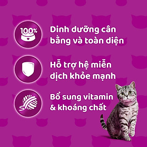 Hộp 12 Gói Pate Cho Mèo Lớn Vị Cá Thu Whiskas Adult 80g