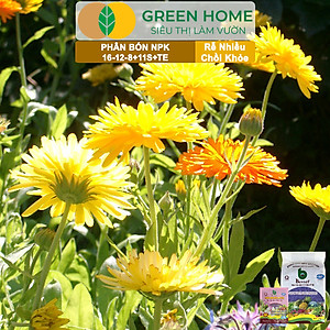 Phân bón NPK 16-12-8-11S+TE Greenhome, Better, Bao 1kg, Phát Triển Nhanh Thân, Cành, Lá, Bộ Rễ