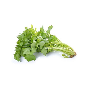 Hạt giống Cần Tây THERA - GÓI 5gram - RẠNG ĐÔNG - độ đồng đều cao , thân lá màu xanh mướt ,lá to có khía sâu ,mùi rất thơm