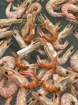 Tôm Khô Tôm Đất Đặc Sản Cà Mau - Hộp 152 GRAM