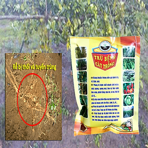 VƯỜN SINH THÁI chăm sóc cây trồng - Vi Sinh trừ Nấm Bệnh, thán thư, rỉ sắt, thối nhũn, đốm đen, héo xanh, phấn trắng, vàng lá, thối rễ - Với hàng tỷ lợi khuẩn đối kháng - 100% Thiên Nhiên