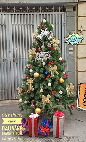 Cây thông noel cước đầu vàng gắn trái đỏ 1m5 - Mẫu cây như thật