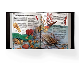 The Usborne: Bách Khoa Lịch Sử Thế Giới - Encyclopedia Of World History