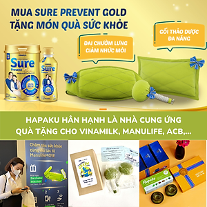 Túi than hoạt tính khử mùi xe hơi Hapaku - 100% từ gáo dừa Bến Tre