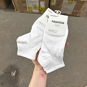 Tất vớ Trơn BASIC Trắng Cổ Ngắn Cotton Thể Thao Co Dãn Bốn Chiều Phong Cách Hàn Quốc